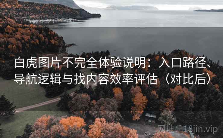 白虎图片不完全体验说明:入口路径、导航逻辑与找内容效率评估(对比后)-第2张图片 白虎图片不完全体验说明:入口路径、导航逻辑与找内容效率评估(对比后)-第2张图片