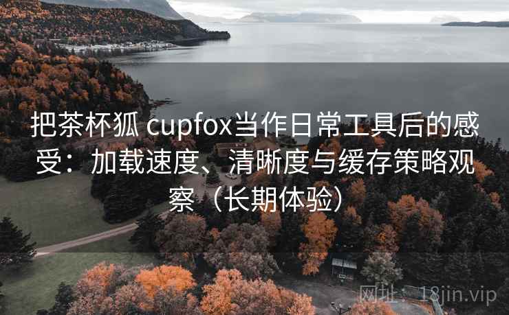 把茶杯狐 cupfox当作日常工具后的感受：加载速度、清晰度与缓存策略观察（长期体验）